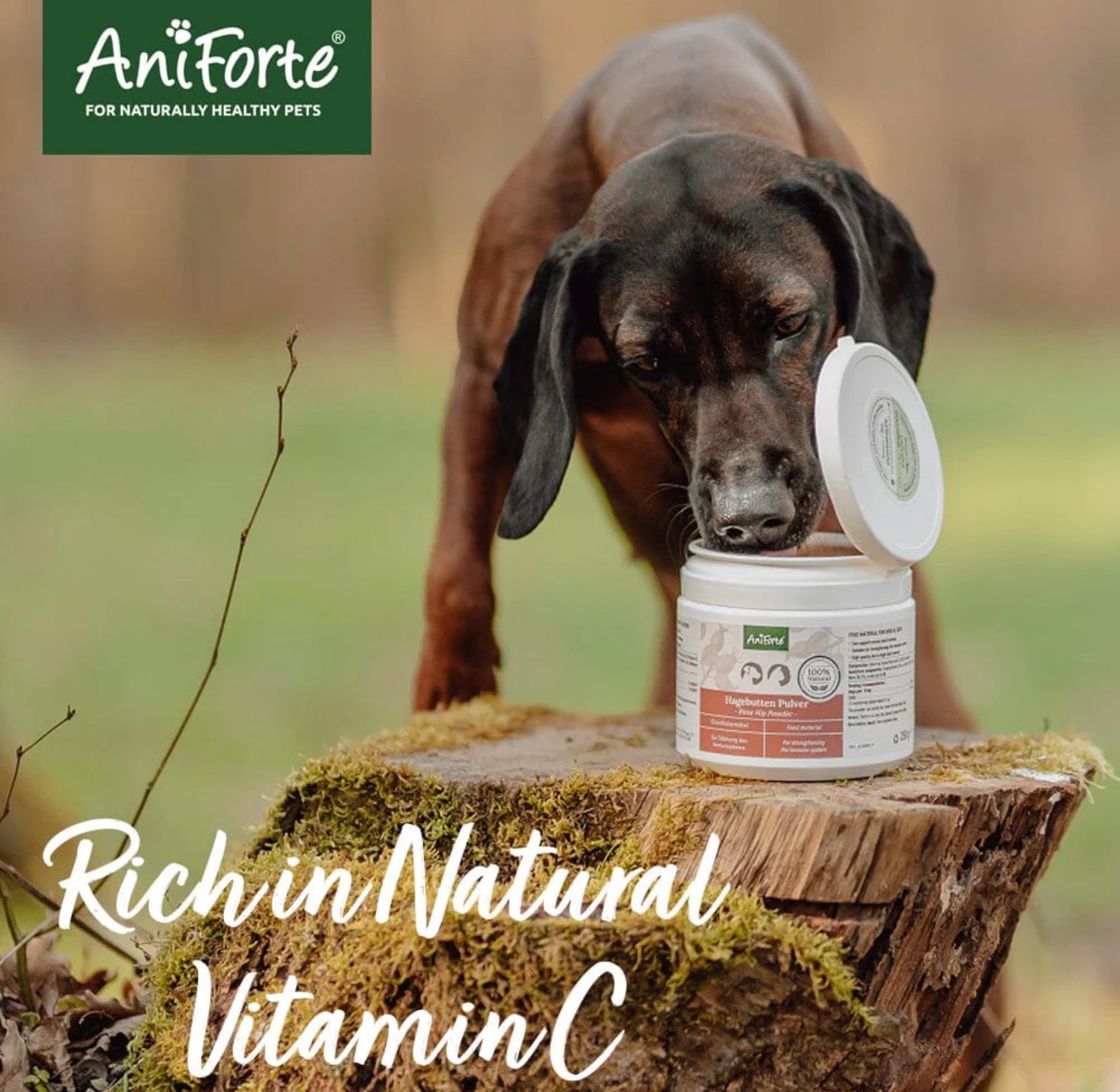 Aniforte Rosehip Powder for Dogs & Cats 250g