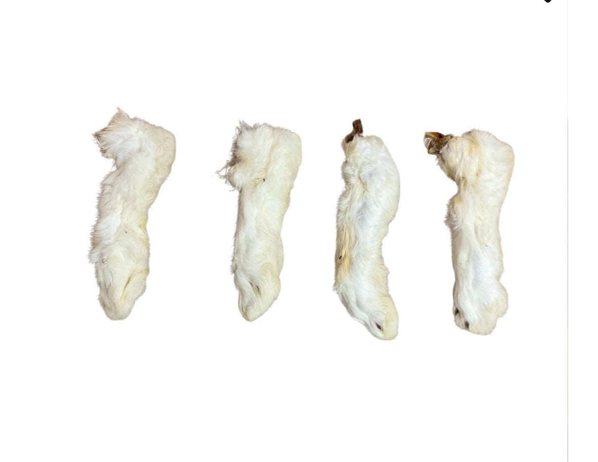 Rabbit Feet Hairy