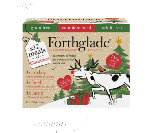 Forthgalde Christmas Adult Variety Pack