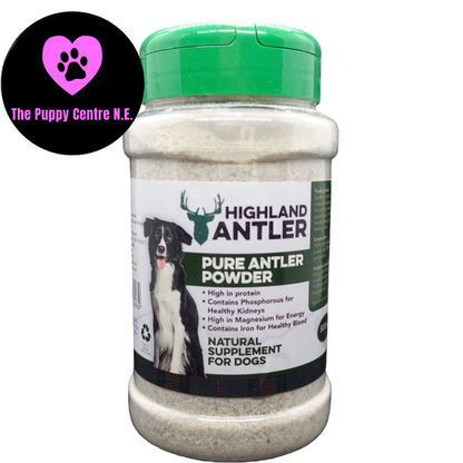 Antler Powder