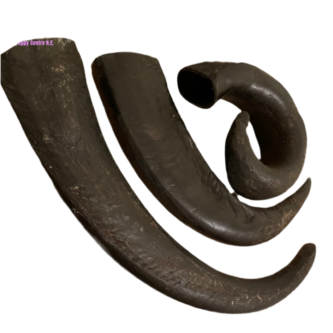 Buffalo Horns