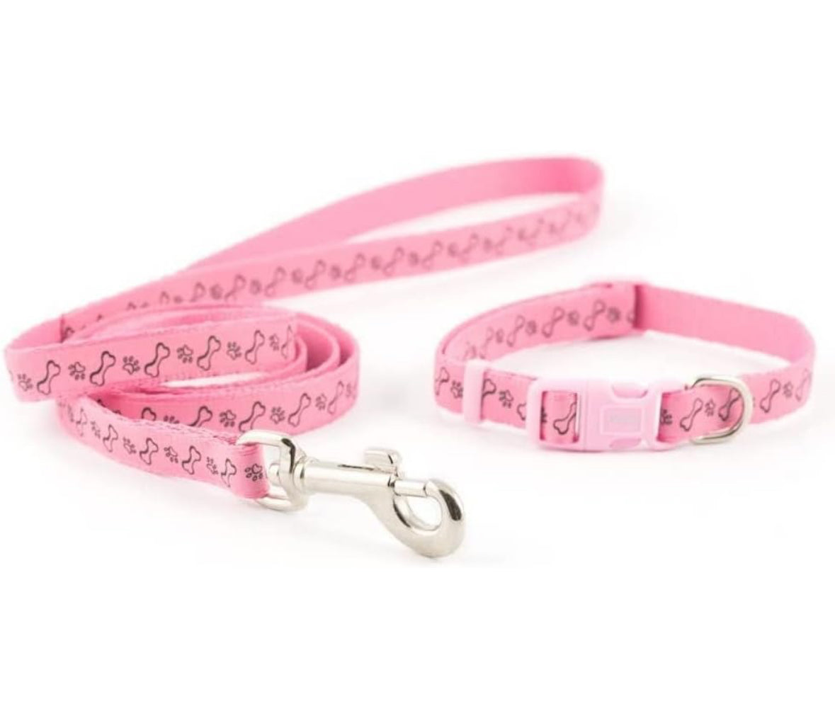 Ancol Paw & Bone, Collar & Lead Set